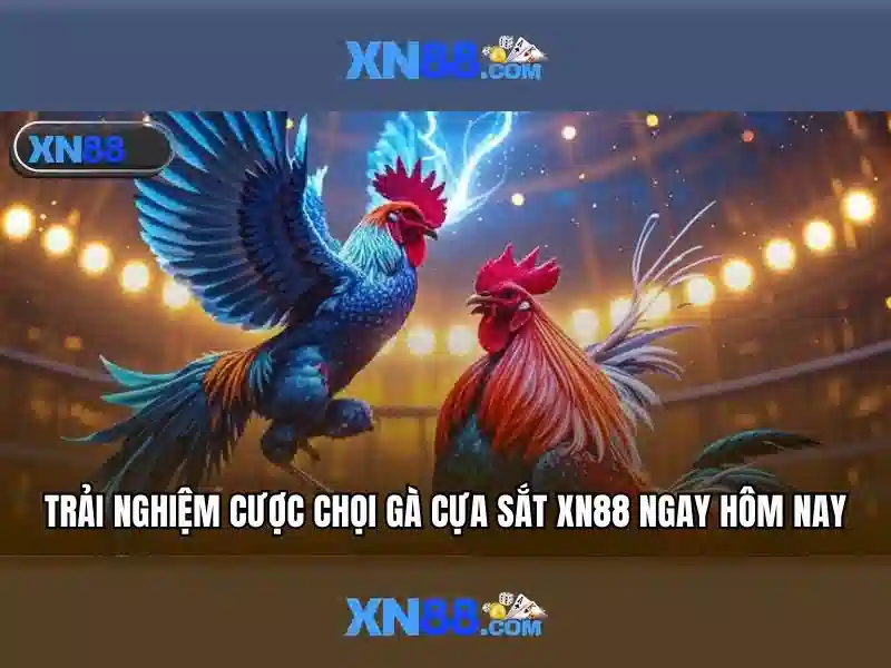  truy cập XN88 - XN88