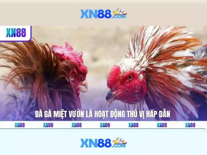 💎how to win on slot machines in oklahoma💎