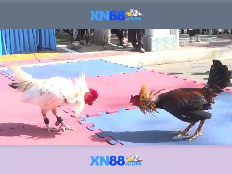 💎sòng bạc hoàng gia thuyết minh tvhay💎