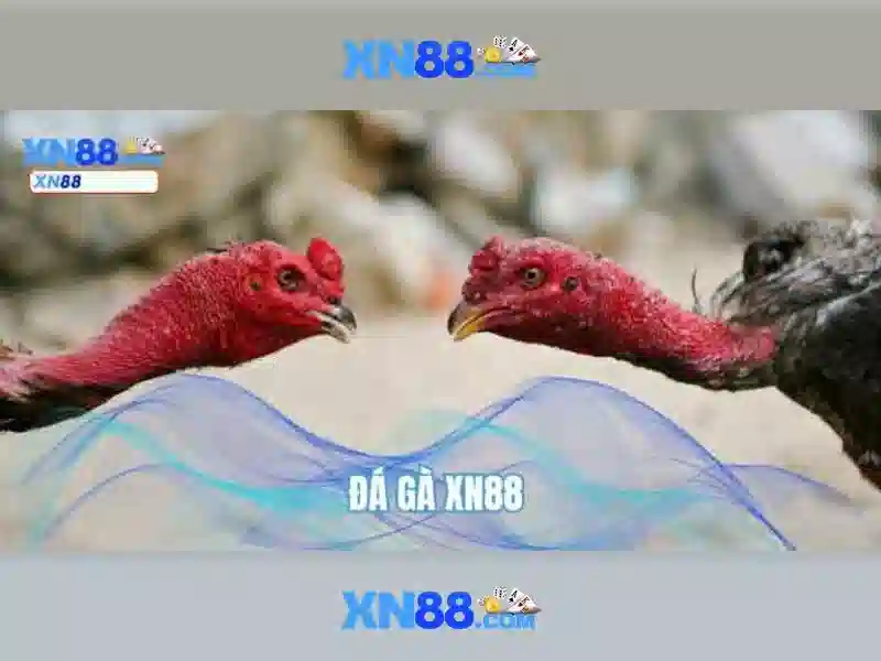 💎keo nha cai bdtv💎