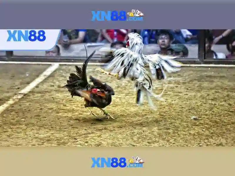 💎double fortune slot png💎