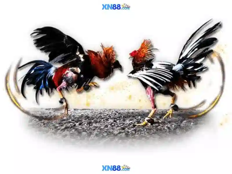 💎kèo nhà cái việt nam vs indonesia💎