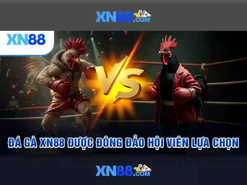 XN88 nổ hũ - XN88