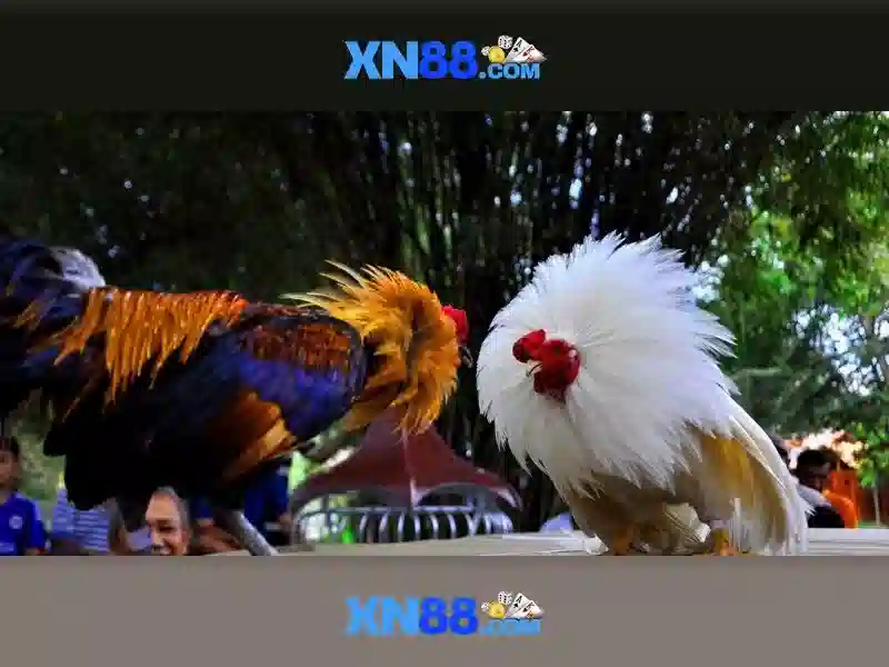 💎podtail nhà cái uy tín💎