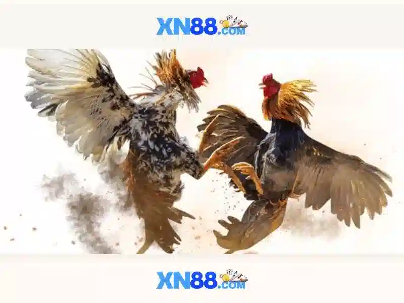 💎nhà cái cá cược thể thao uy tín💎