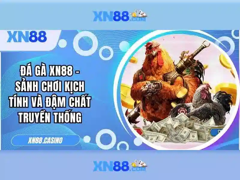 💎trang cá cược bóng đá icu💎