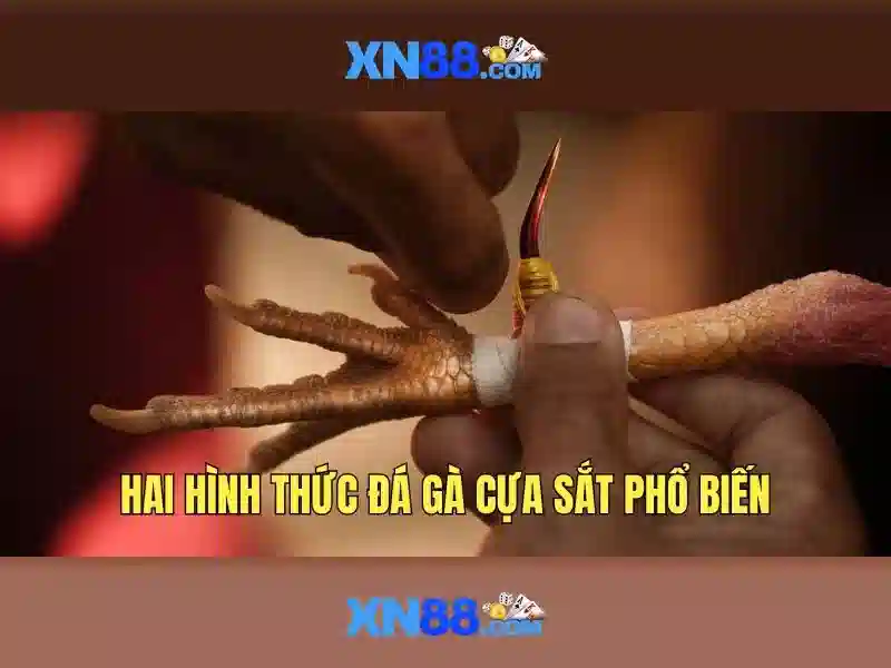 💎cải tạo nhà cấp 4 hiện đại💎