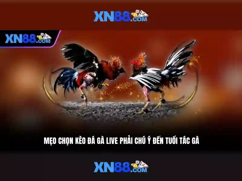 💎gogo 888slot casino login register💎
