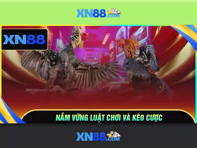 💎nhà cái ui tín💎