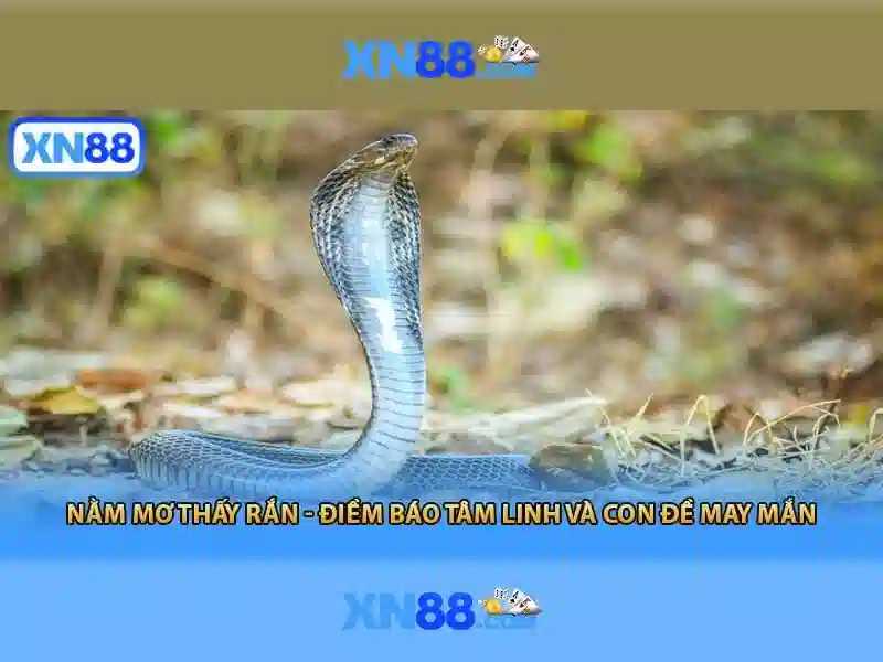💎fun88 asia có phải nhà cái thuộc về💎