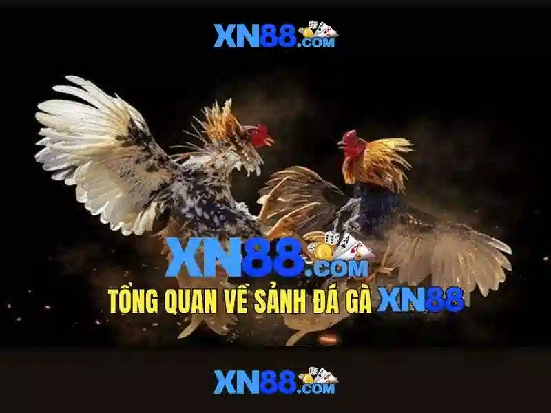 💎kèo nhà cái ở đâu💎