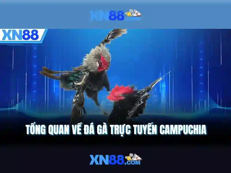 💎teang ca cuoc bong da💎