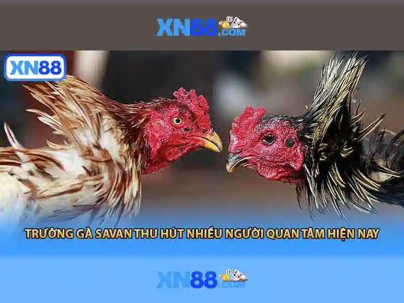 💎xn88 khmer download💎