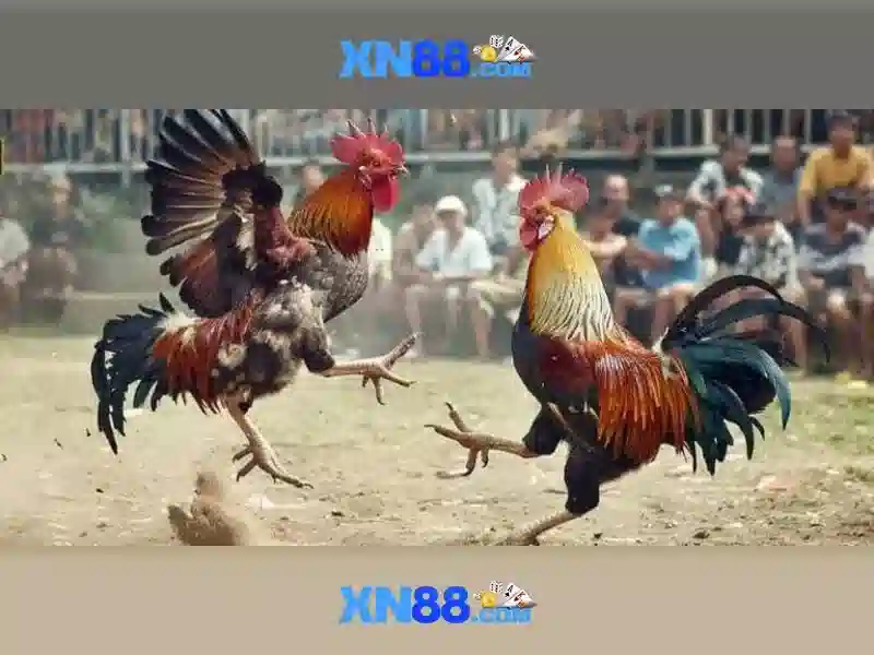 💎nhà cái uy tín topnhacaiwin💎