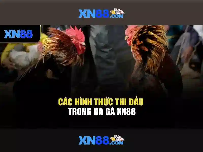 💎login xn88💎
