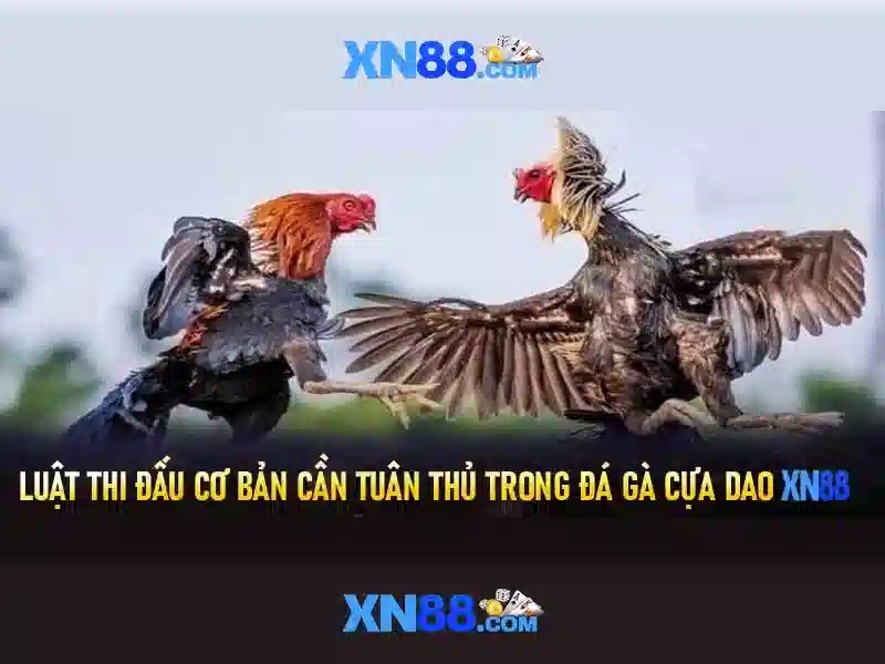 💎giống đực cái trong tiếng tây ban nha💎