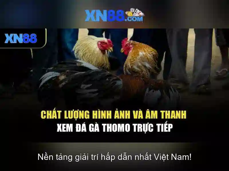 💎ty le keo nha cai truc tuyen💎