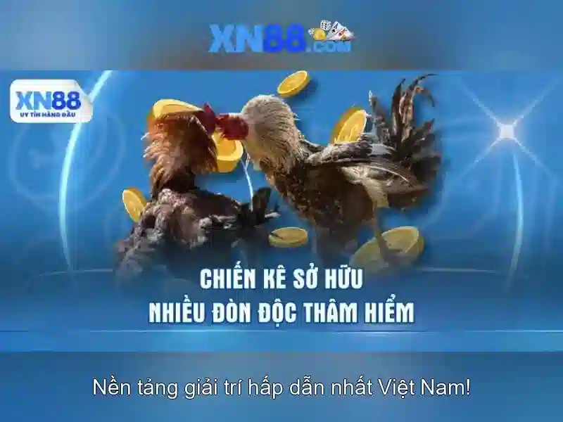 💎đánh giá sòng bạc trực tiếp việt nam💎