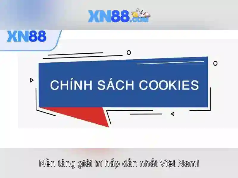 💎bài đánh giá về chợ bắc mỹ an💎