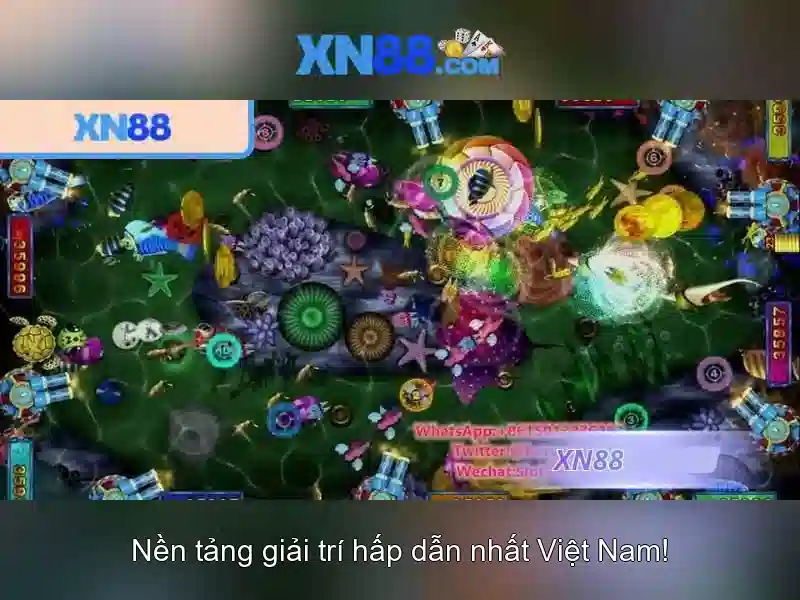 💎nhà hàng đông hoa móng cái💎