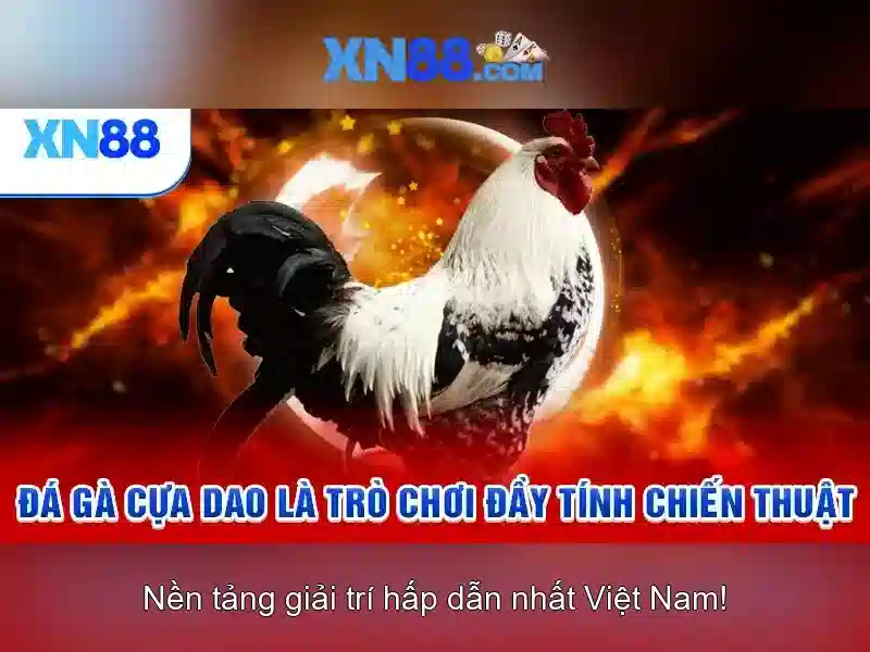 💎kèo nhà cái trận việt nam và thái lan💎