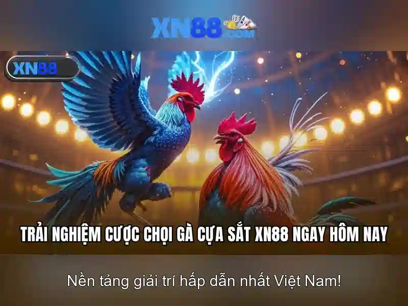 💎nhà cái cat88💎