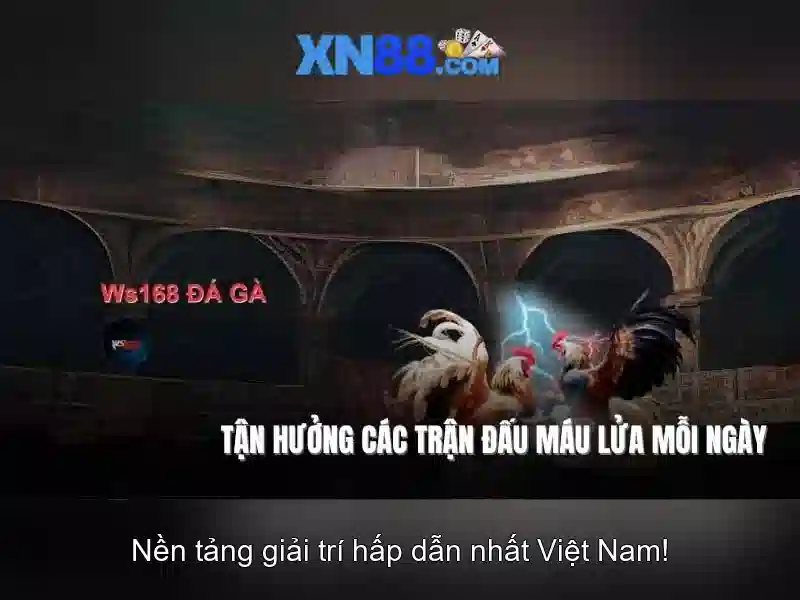 💎kèo nhà cái eubet💎