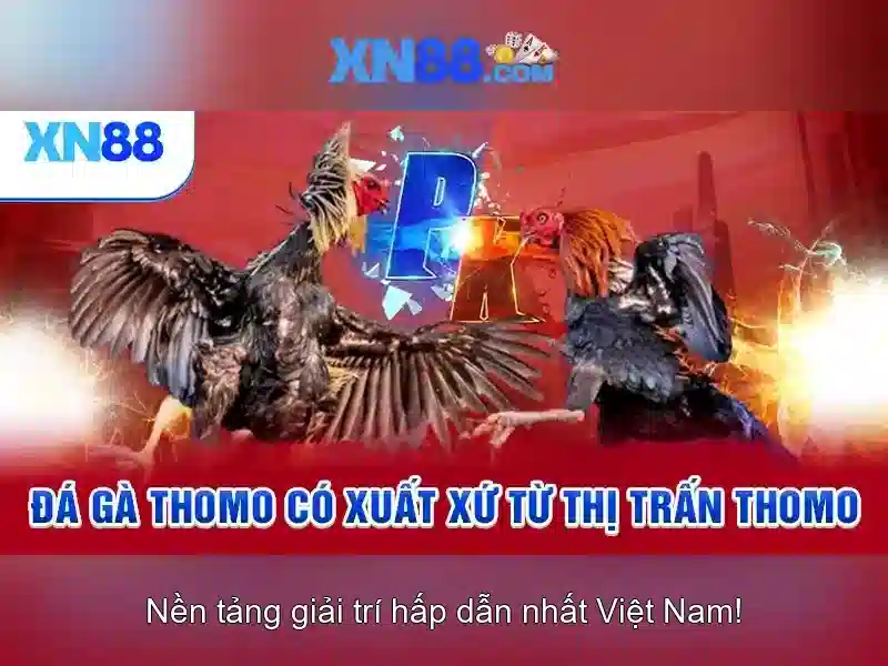 💎play free slots games now💎