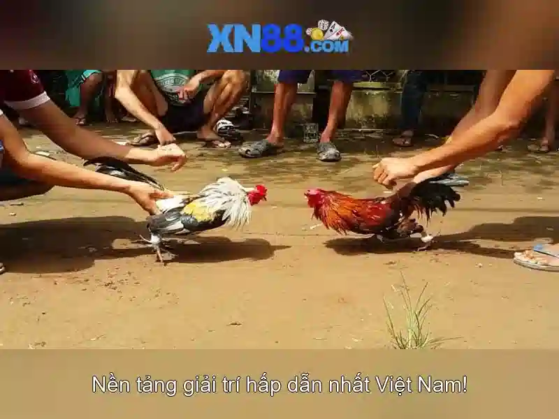 💎trực tiếp kèo nhà cái euro 2024💎