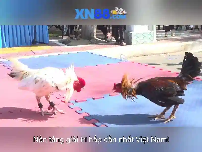 💎bài đánh giá về quan an bac hien💎