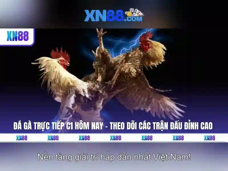 💎sòng bạc lớn của mỹ💎