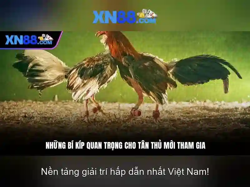 💎hướng dẫn xử lý tội đánh bạc lô de💎