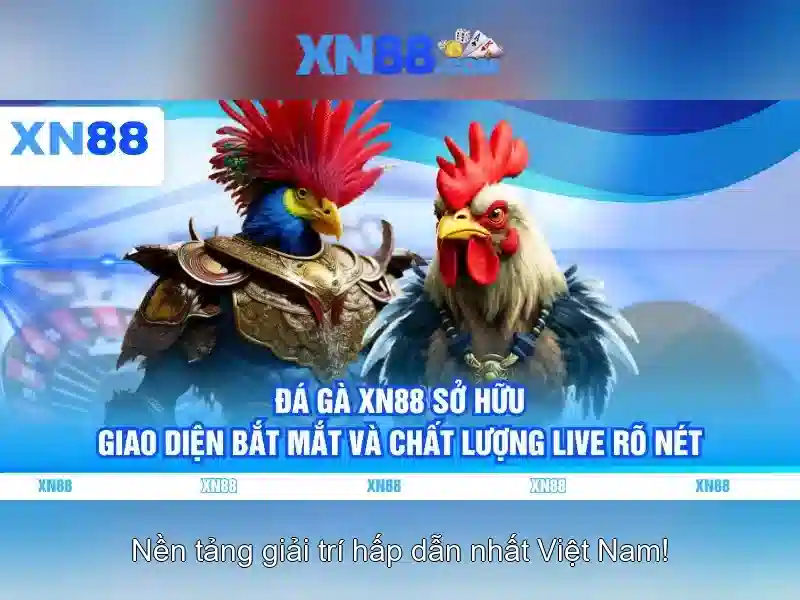 💎tk88 trang truy cập nhà cái duy nhất💎