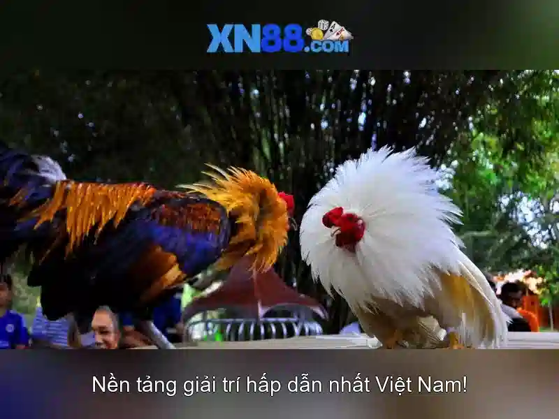 💎hb88 gaming slot games in singapore💎