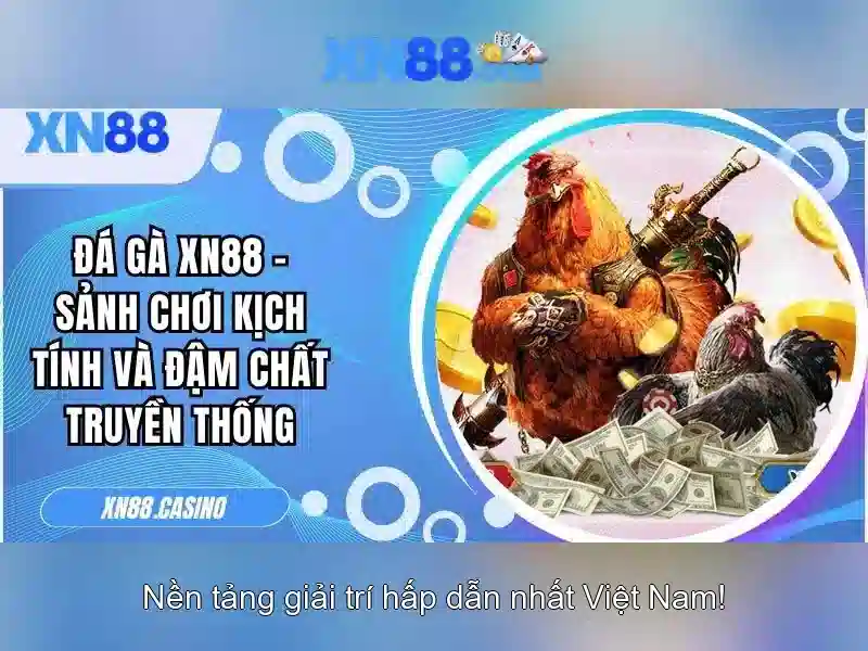 💎binas tabel 66b💎 - 66b phường 15 quận tân bình - 66b nguyễn sí sách