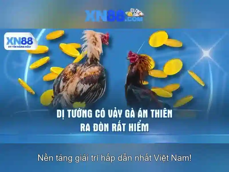 💎188v có lừa đảo không💎 - 188v nohu - 188v vip