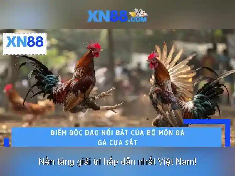 💎khuyến mãi 66b💎 - 66b nguyen sy sach - mậu binh 66b