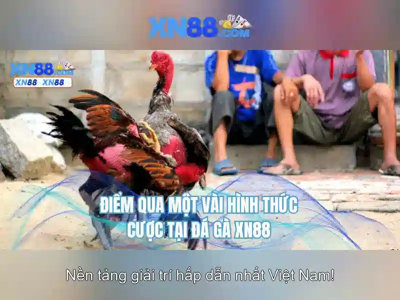 💎đánh bạc online có bị phạt không💎