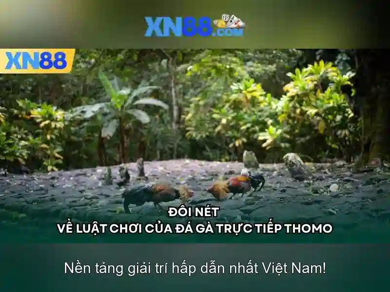 💎kèo nhà cái w88 m88💎