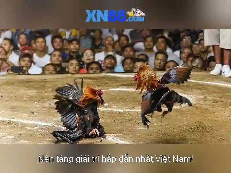 💎888slot casino.com💎