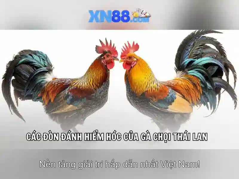 💎fic vkook cá cược💎