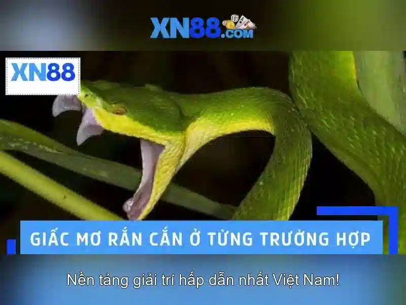 💎trang ca cuoc bongda💎