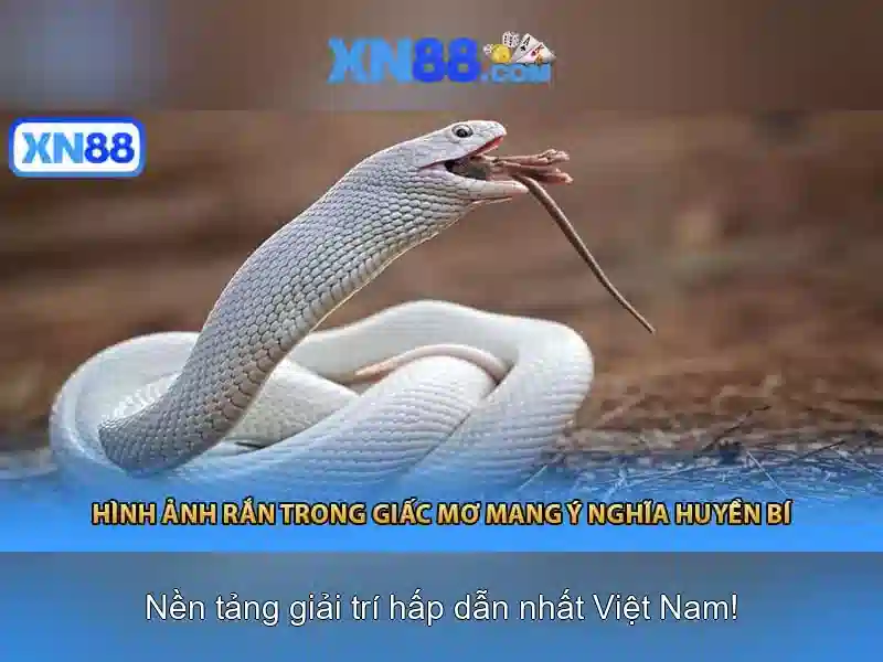 💎nhà cái trong xì dách💎