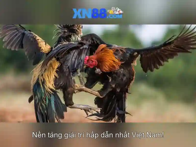 💎66b hentai💎 - 66b nguyễn sĩ sách - 66b nguyễn sí sách