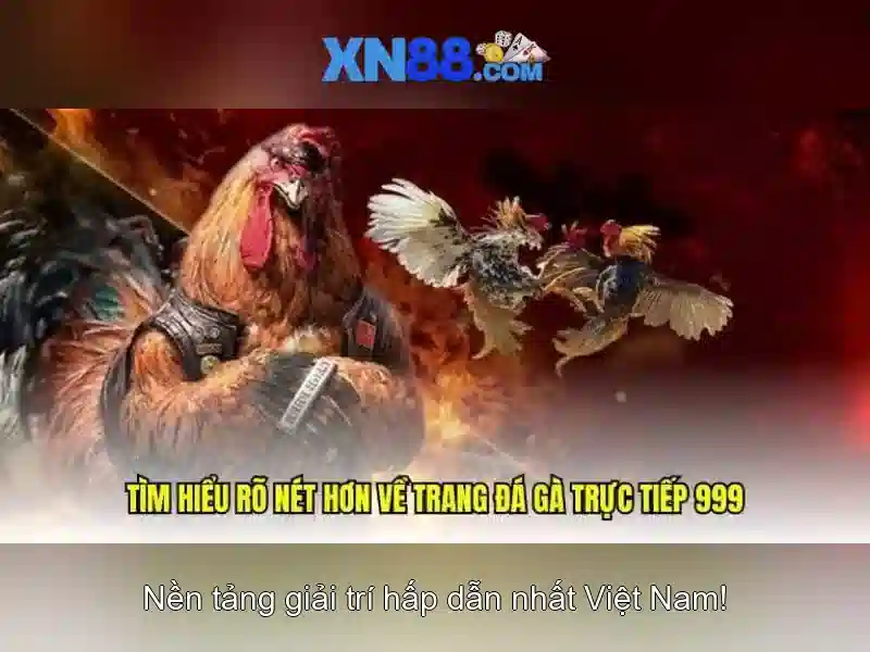 💎lich thi dau euro 2024 kèo nhà cái💎