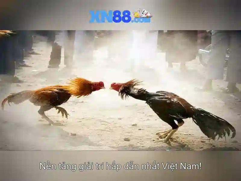 💎ca nhac dap mo cuoc tinh💎