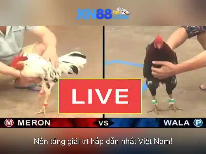 💎hb88 go rush hack💎