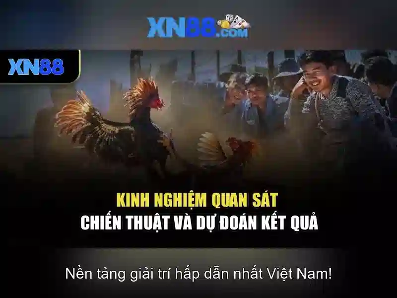 💎m88 cá cược trực tuyến nhacaiguru💎