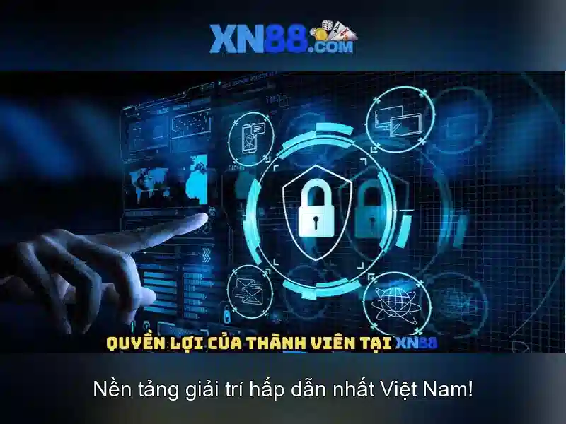 💎mk nha cai💎