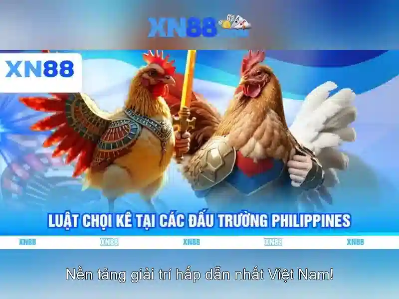 💎nhà cái uy tíndev.com💎